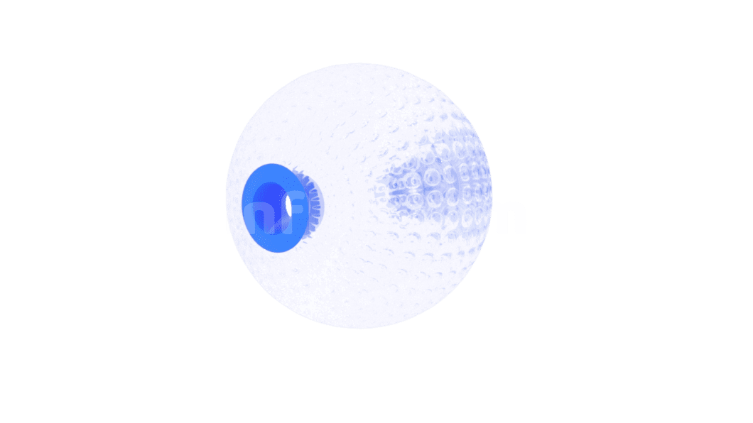 Inflatable zorbing ball left side