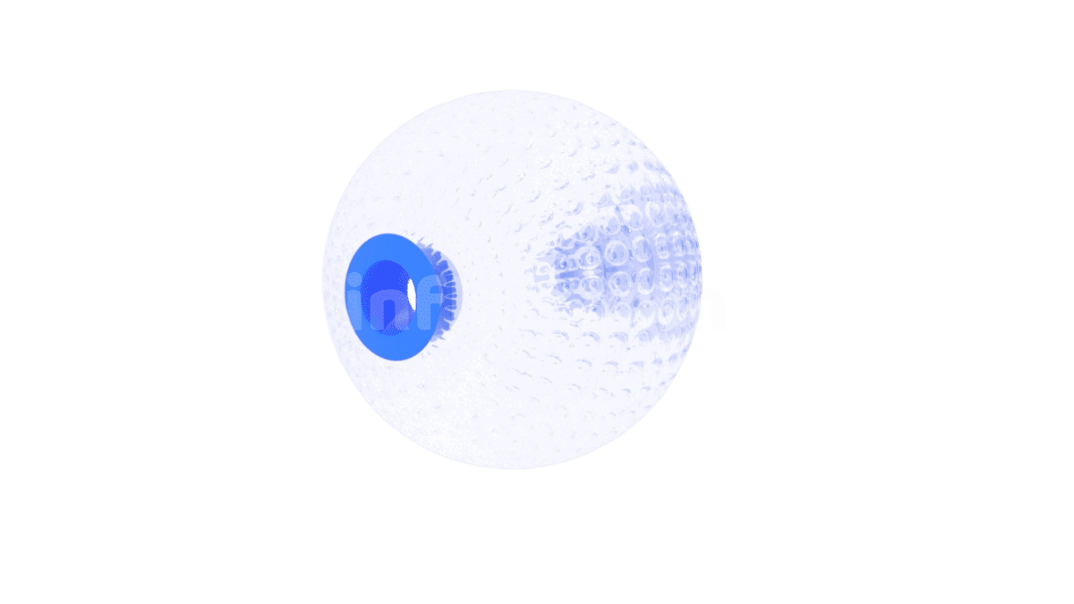 Inflatable zorbing ball left side